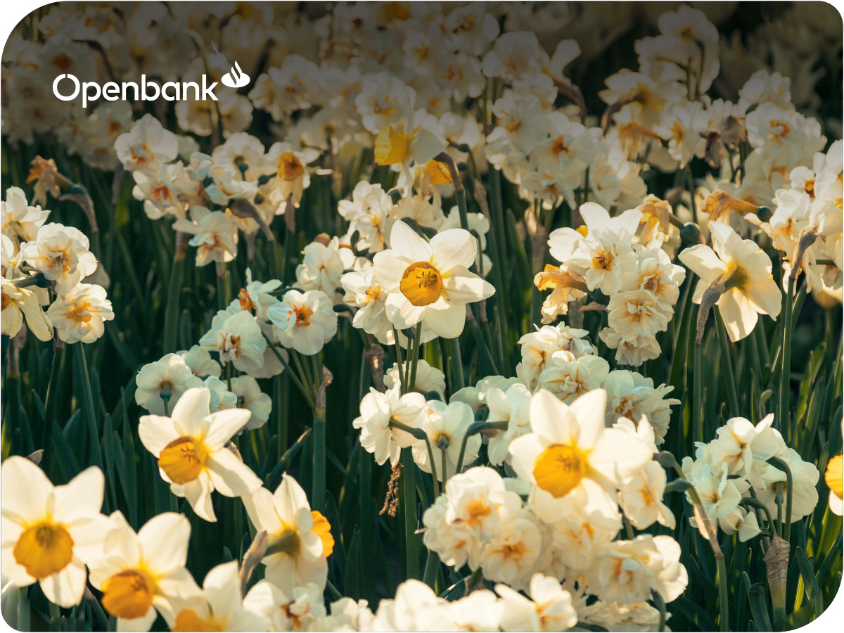 Qué se celebra en marzo 