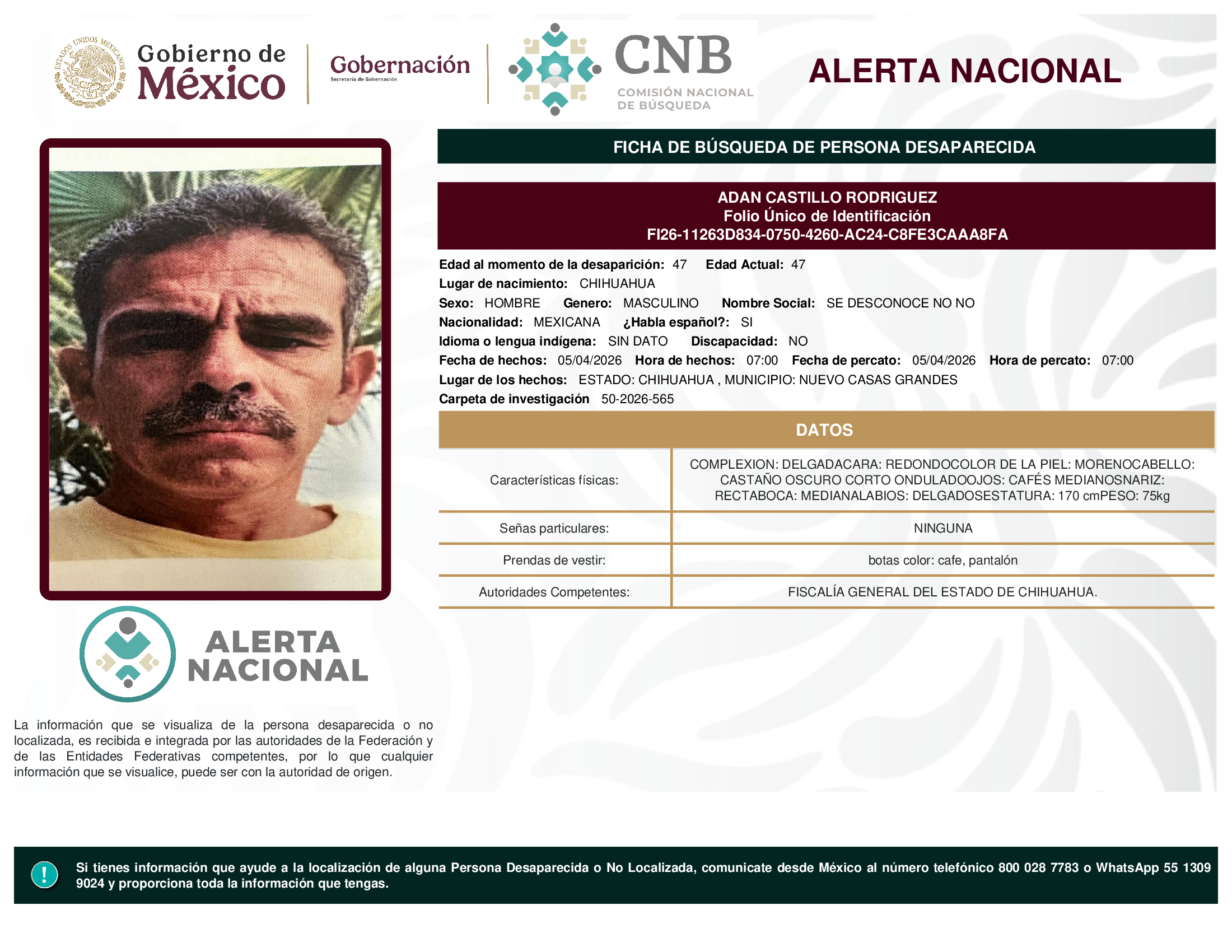 Adan Castillo Rodríguez
