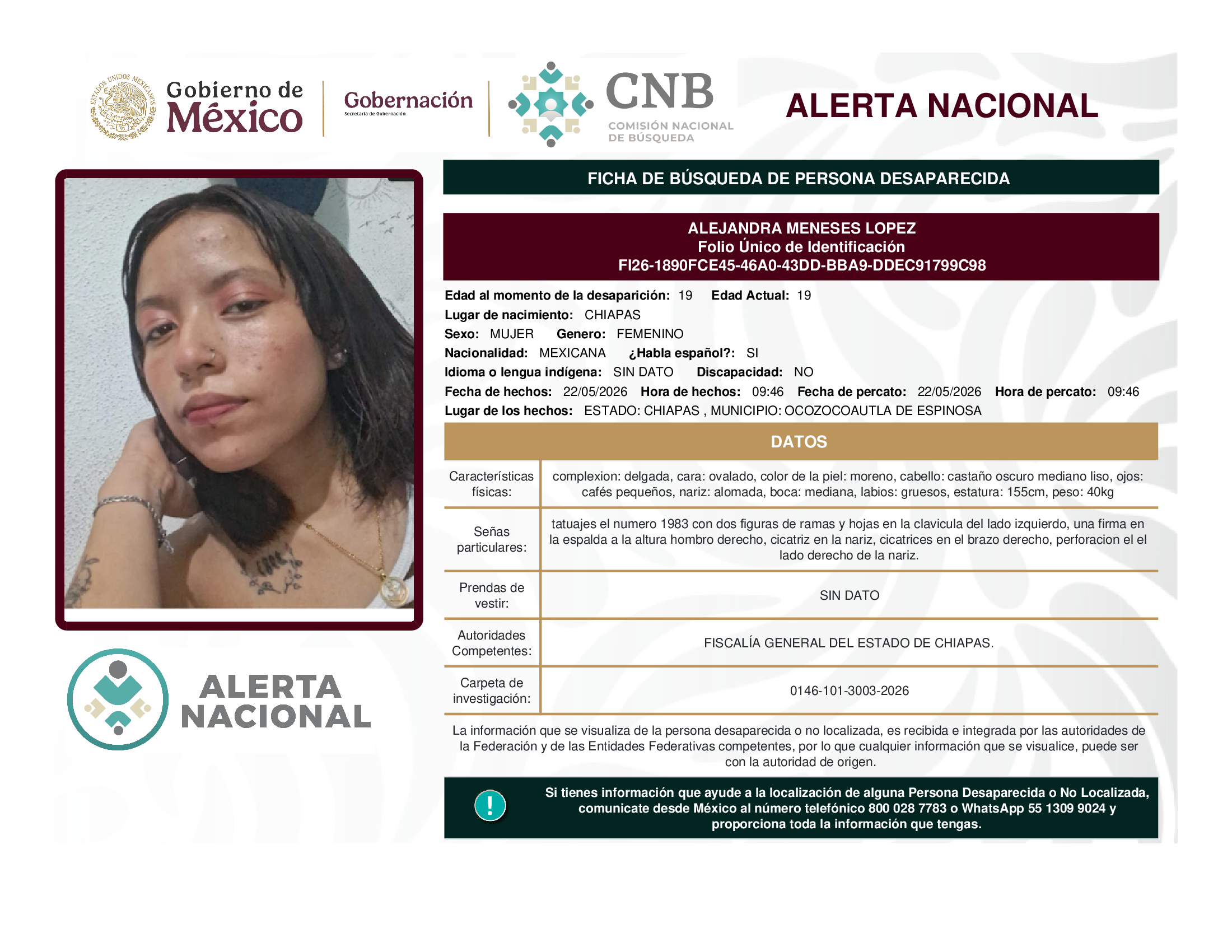 Alejandra Meneses López