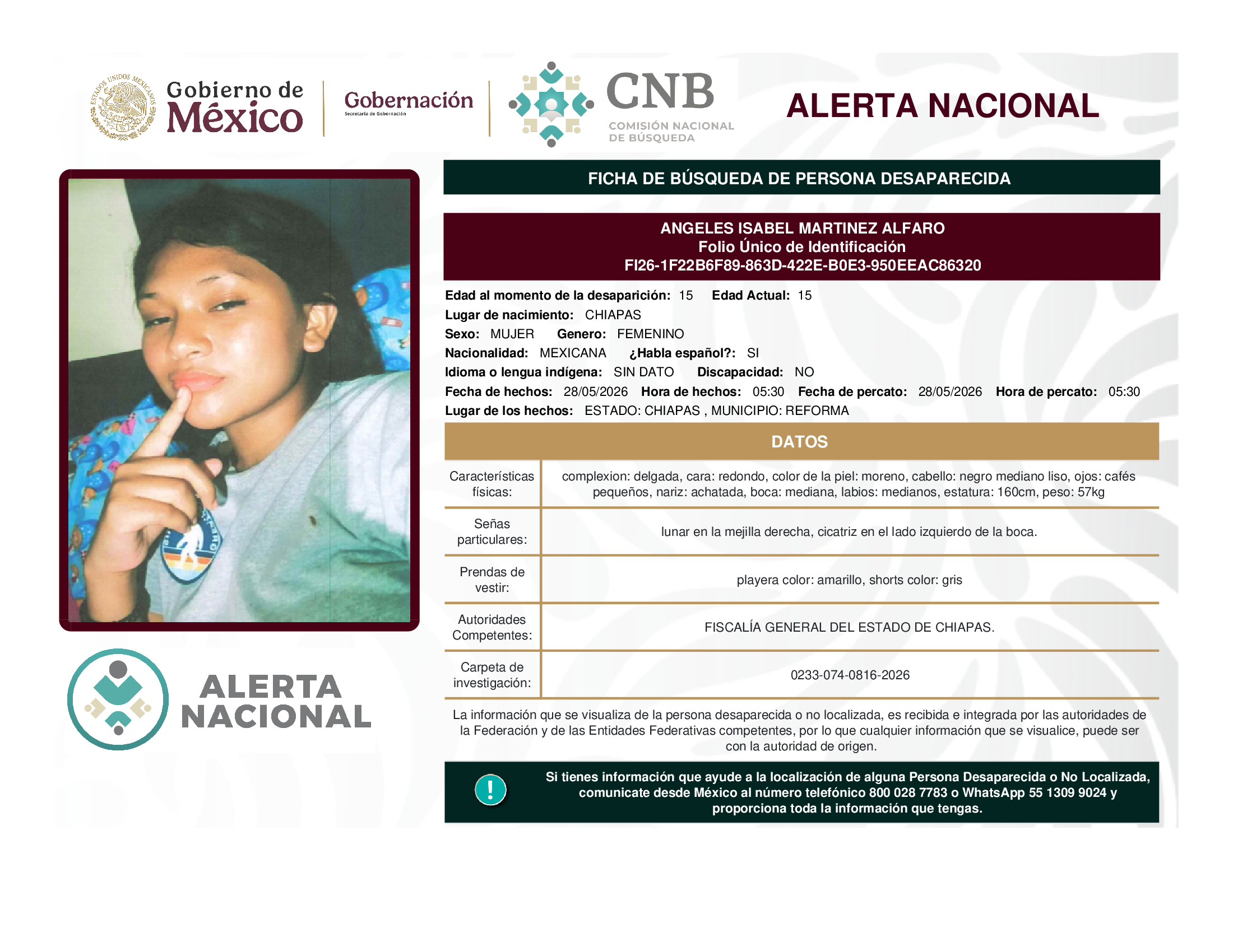 Angeles Isabel Martínez Alfaro