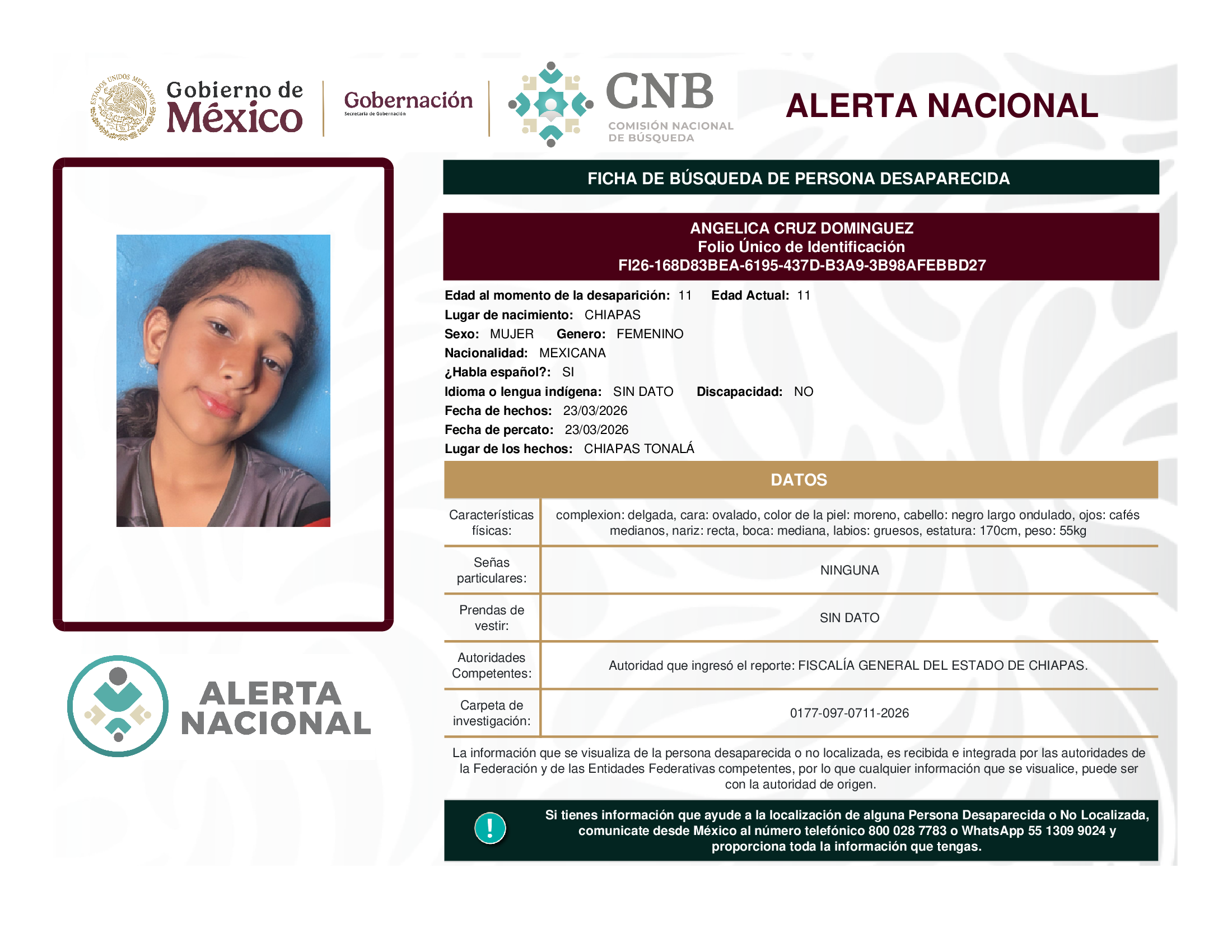 Angelica Cruz Domínguez