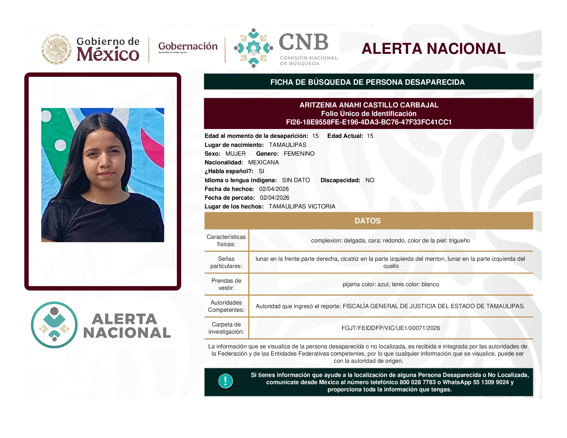 Aritzenia Anahí Castillo Carbajal
