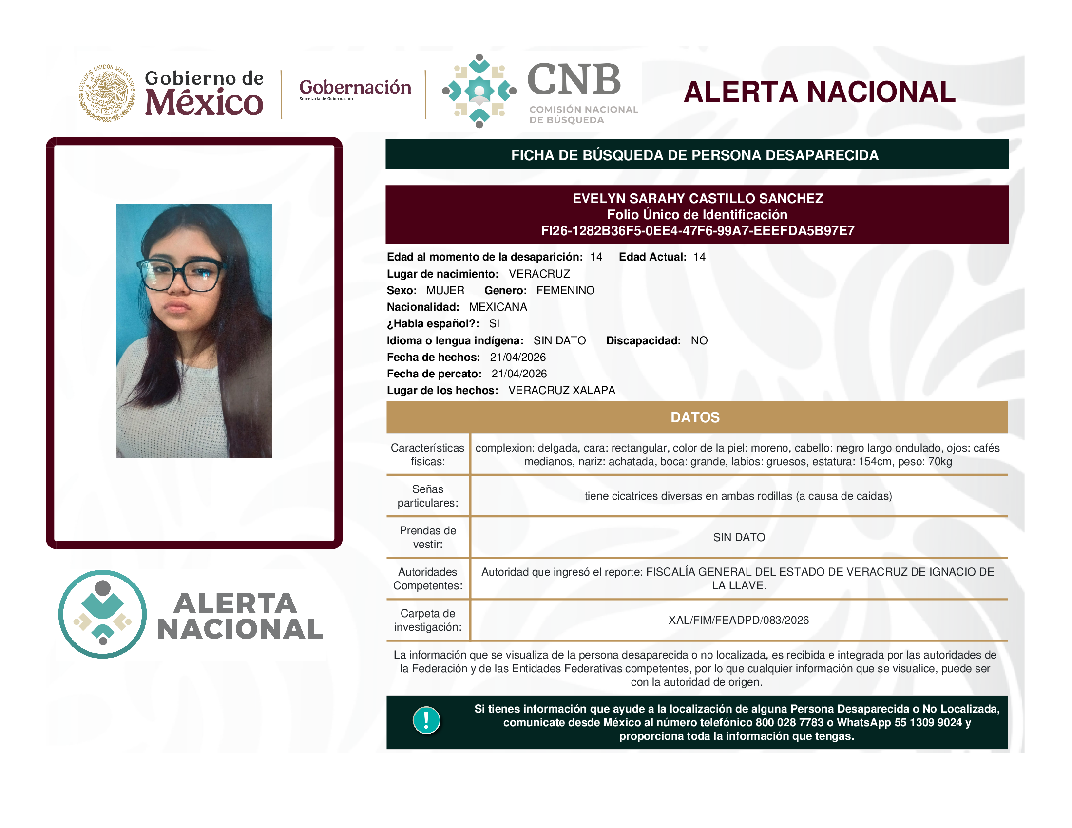 Evelyn Sarahy Castillo Sánchez