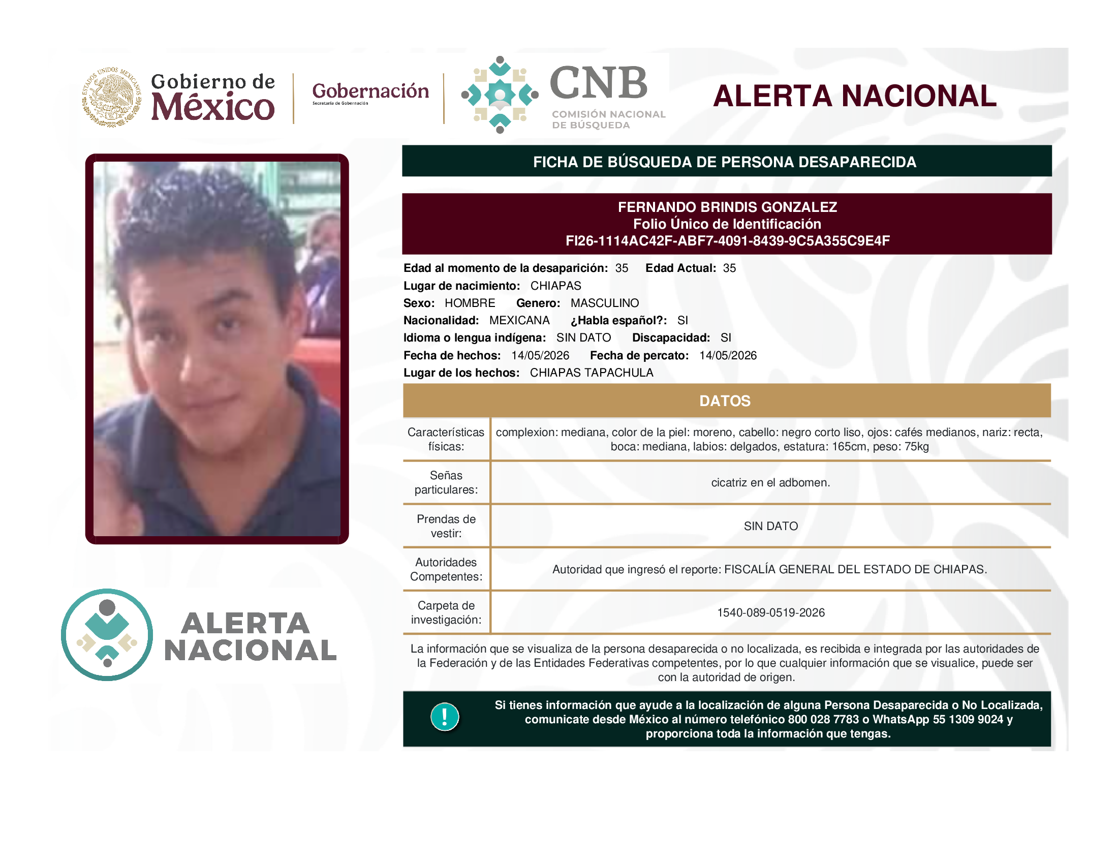 Fernando Brindis González