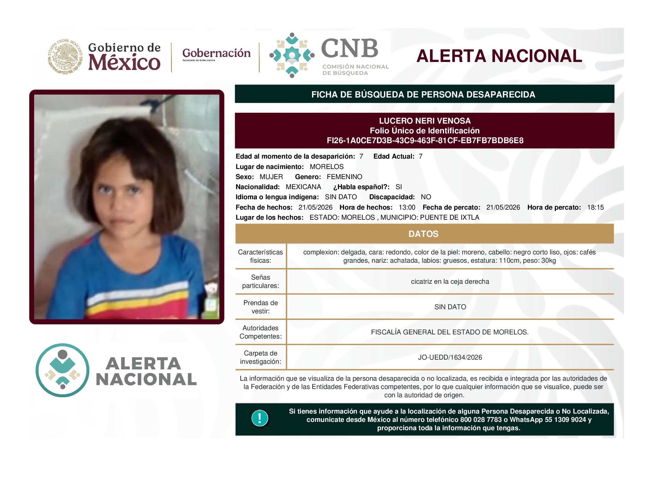 Lucero Neri Venosa