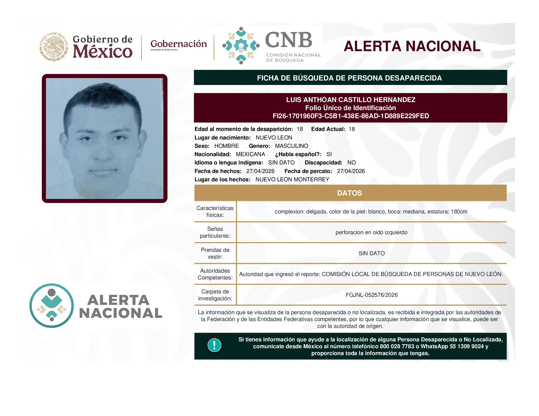 Luis Anthoan Castillo Hernández