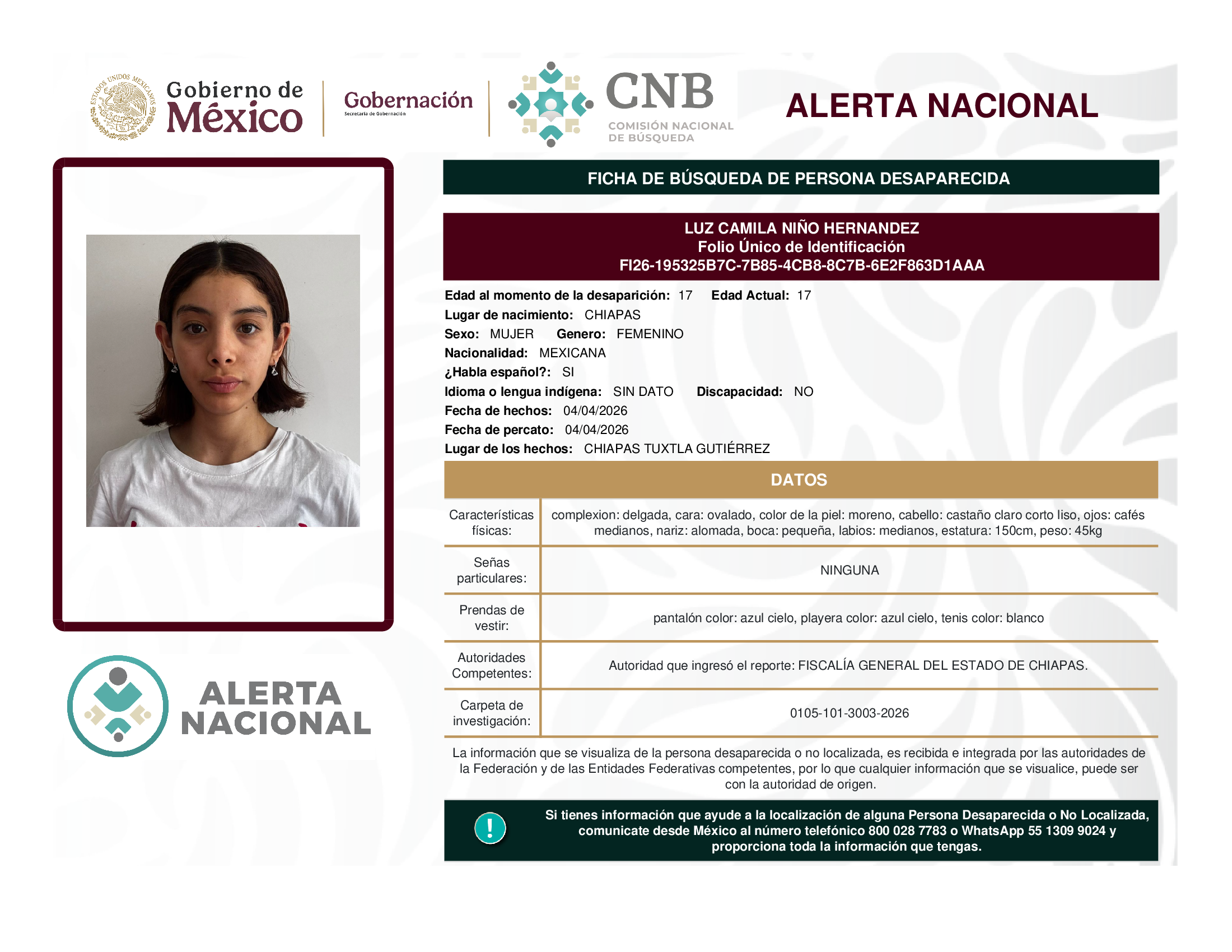 Luz Camila Niño Hernández