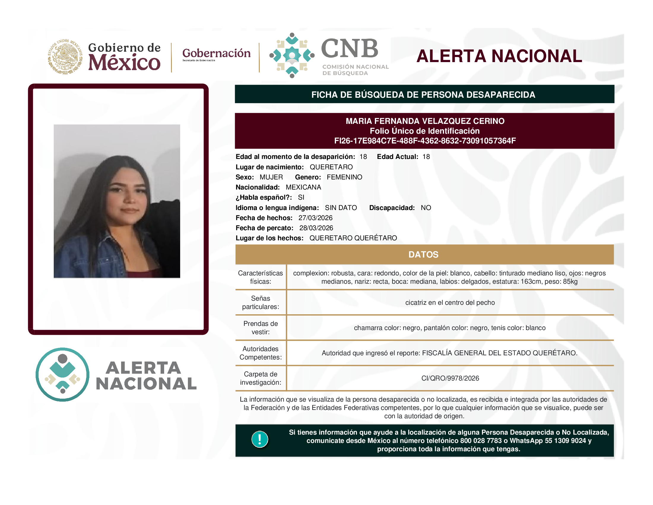 María Fernanda Velazquez Cerino