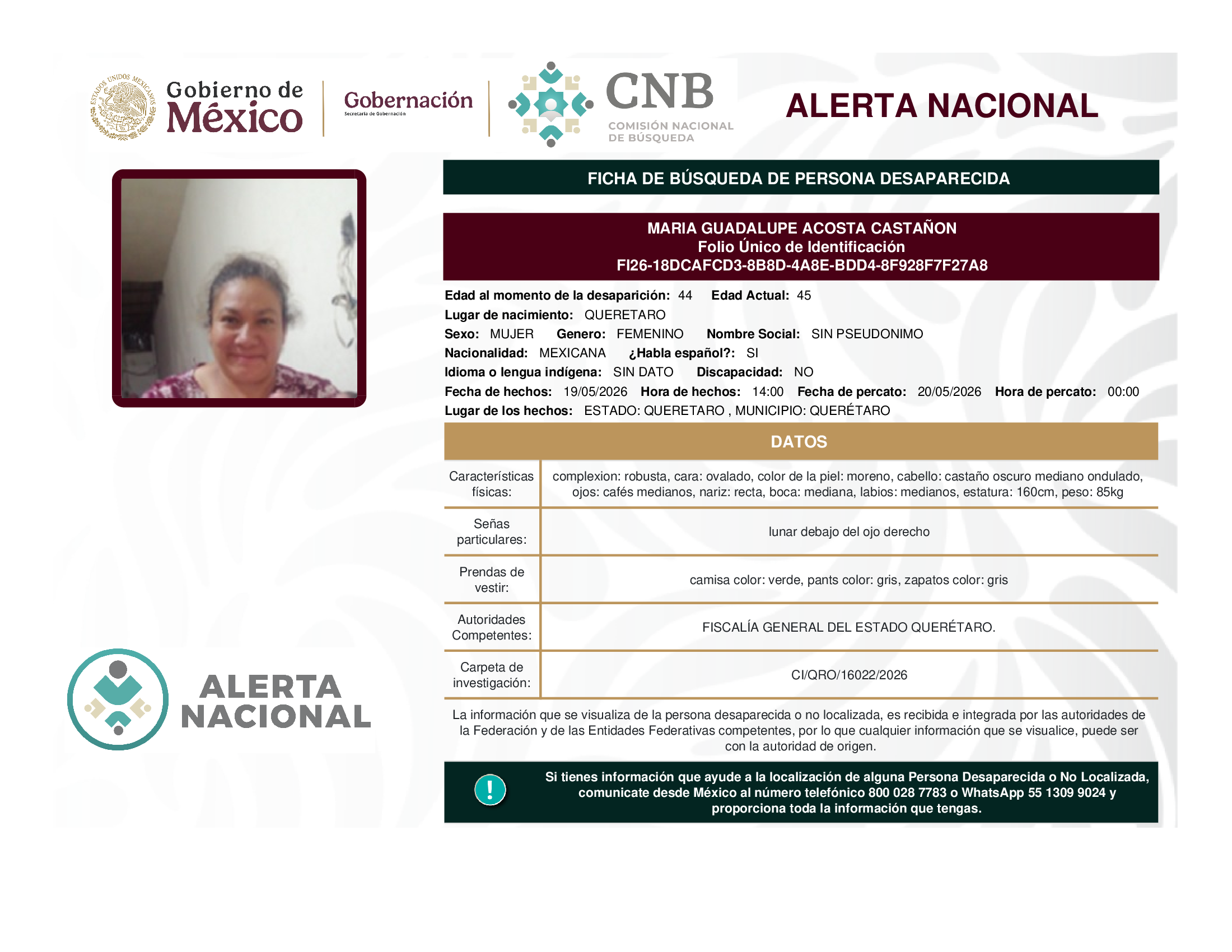 María Guadalupe Acosta Castañón